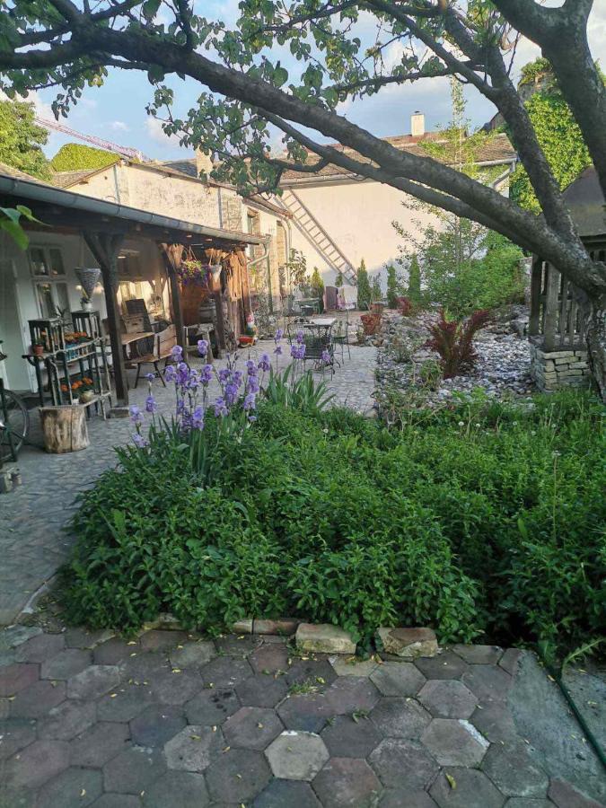 Somborski Salas - Strogi Centar Apartment Exterior photo